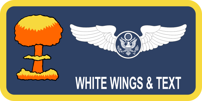 117 ARS Nuke Tag Forbes Field KSANG Name Tag