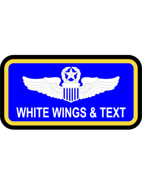 Image for DET 6 AMCAOS Name Tag