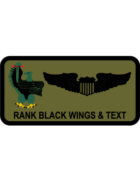 Image for 12 SOS Officer Name Tag