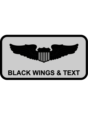 Image for 14 WPS Regular Name Tag