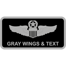 Image for 509 WPS Black B/G Gray Border Name Tag