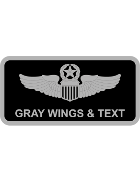 Image for AF Name Tag Black G/G Gray Border