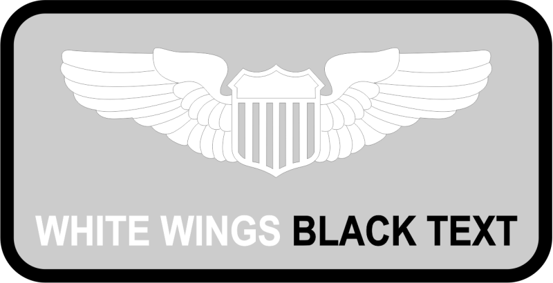 174 ATKS Name Tag Hancock Field ANG