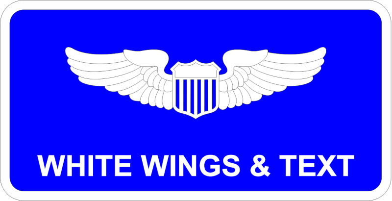 224th Air Defense Squadron New York ANG Name Tag