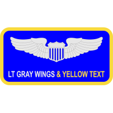 Image for 311 TRS Name Tag