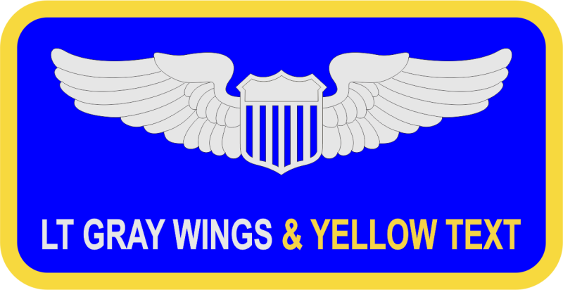 311 TRS Name Tag