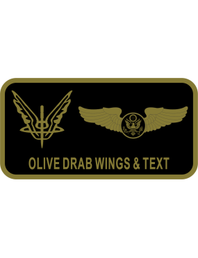 Image for 352 SOW Name Tag