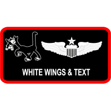 Image for 41 AS Regular Name Tag