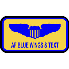 Image for 423 MTS Name Tag