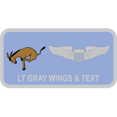 Image for 95 RS Friday Name Tag