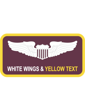 Image for 964 AACS Name Tag