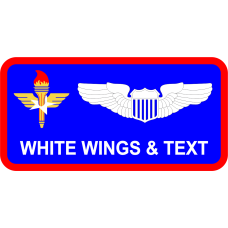 Image for AF AETC Standard Name Tag