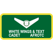 Image for AFROTC Det 592 Name Tag