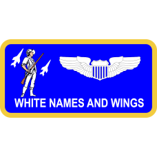 Image for DC HQ ANG Name Tag