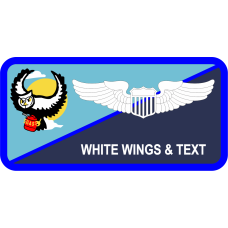 Image for 117 ARS Owl w/Blue Stripe Non-Combat Name Tag