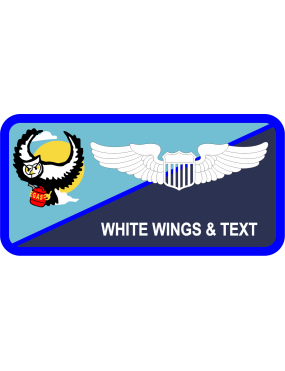 Image for 117 ARS Owl w/Blue Stripe Non-Combat Name Tag