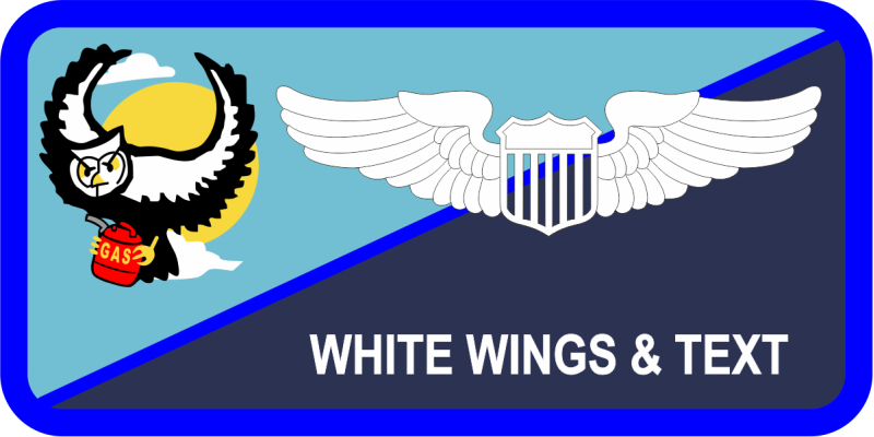 117 ARS Owl w/Blue Stripe Non-Combat Name Tag 