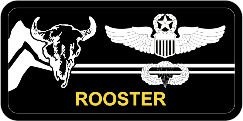 186 AS Great Falls ANGB Name Tag