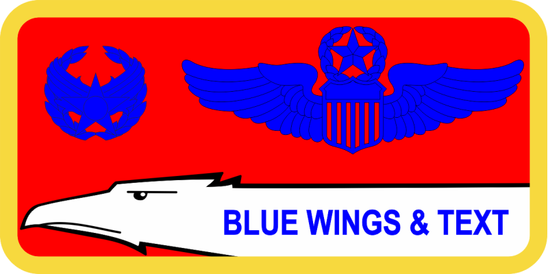 314 ARW Eagle Name Tag