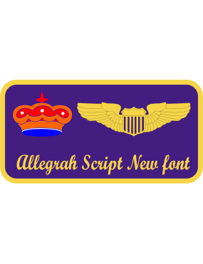 Image for 3 AS Friday Name Tag