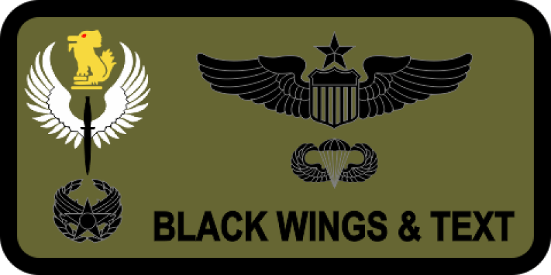 1 SOAOS Name Tag with Commander's Badge