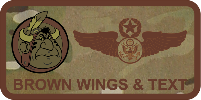 169 AS OCP Name Tag - Illinois ANG