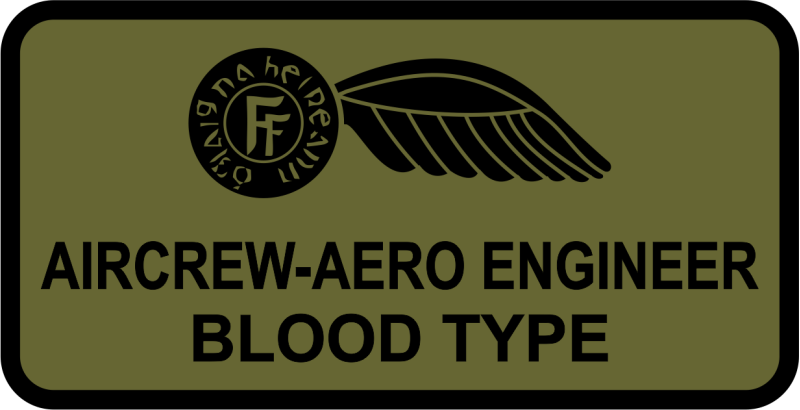 Irish Air Force Enlisted Name Tag