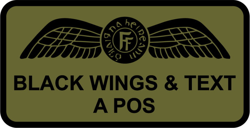 Irish Air Force Officer Name Tag