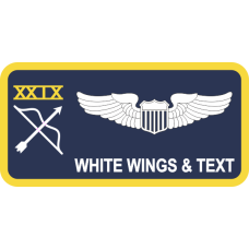 Image for 29 WPS Navy Name Tag