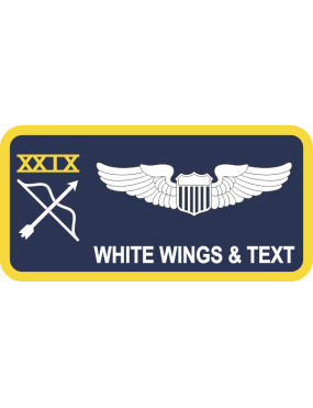 Image for 29 WPS Navy Name Tag