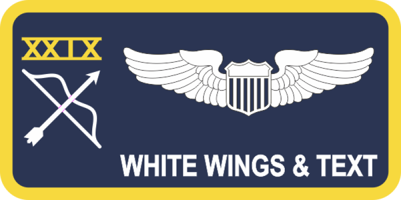 29 WPS Navy Name Tag