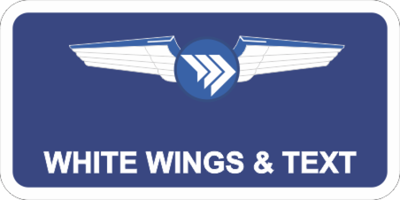 Merlin Labs Name Tag