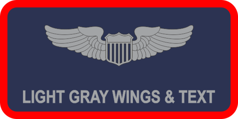 AF Standard Navy Red Border Name Tag
