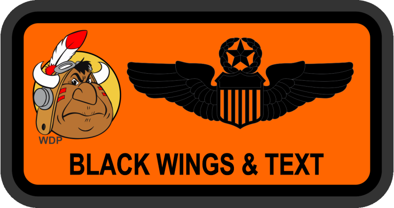 169 AS Name Tag - Illinois ANG