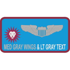 Image for AFROTC Det 040 Name Tag