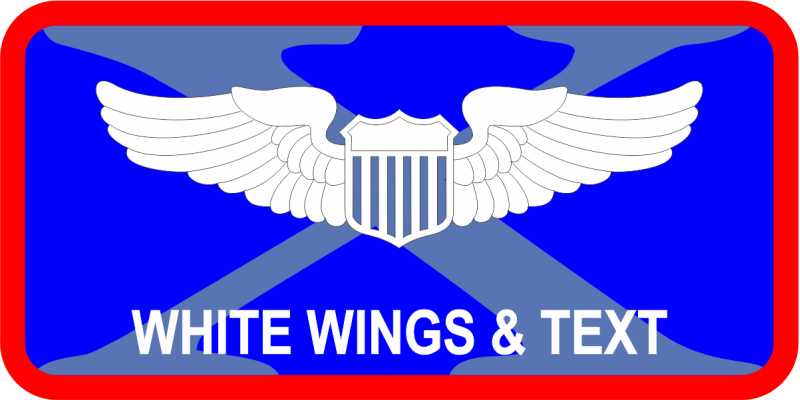 10 EACCS Blue Name Tag