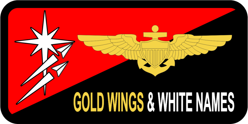 Det 24 PTN Navy Name Tag