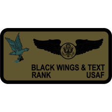 Image for 43 IS Eagle Name Tag