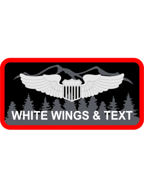 Image for 488 IS Name Tag