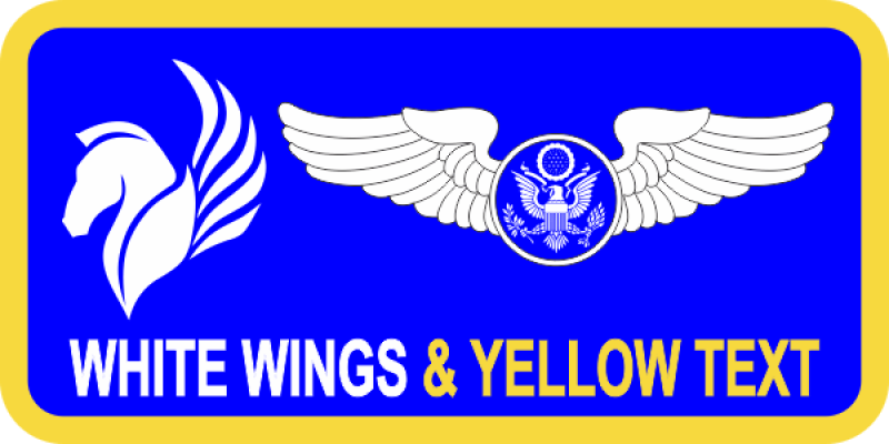 60 AES Pegasus Name Tag