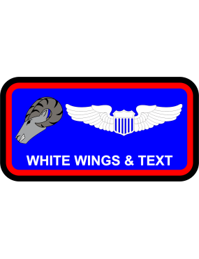 Image for USAFSAM RAM Name Tag