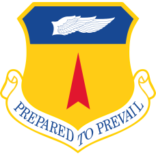 Image for 36 Wing Full Color Patch