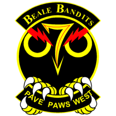 Image for 7 SWS Full Color Patch