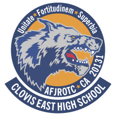 Image for AFJROTC CA 20131 Patch
