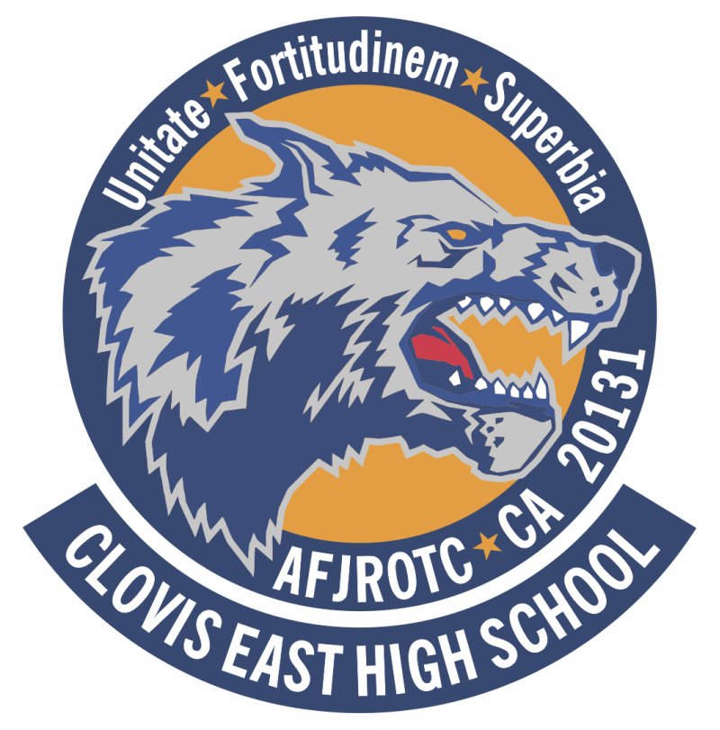AFJROTC CA 20131 Patch
