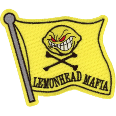 Image for AFROTC Det 35 Patch