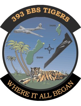 Image for 393 EBS Tigers Patch