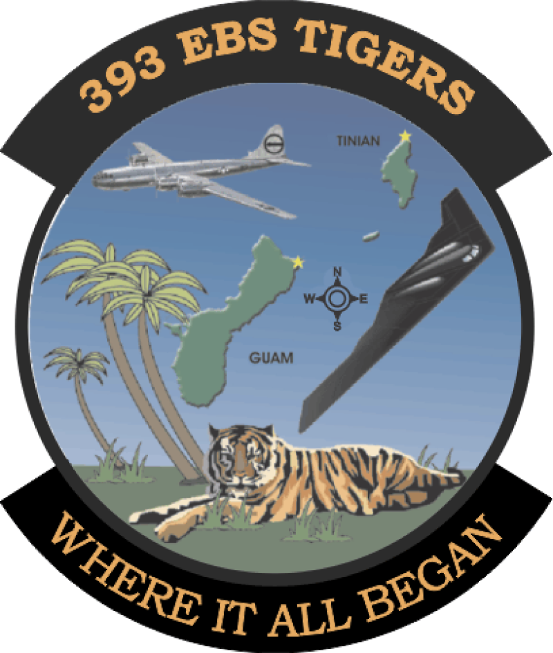 393 EBS Tigers Patch