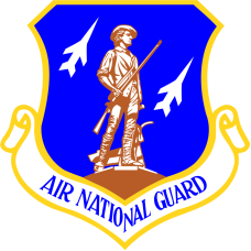 Image for ANG Full Color Patch