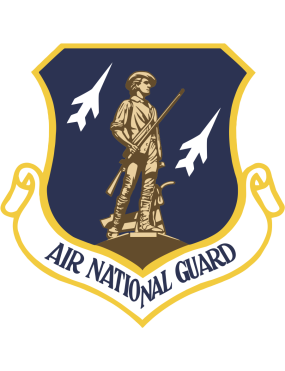 Image for ANG Navy Background Patch